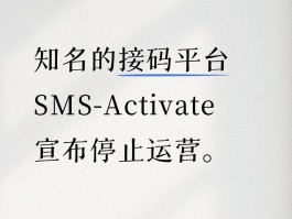 国外接码平台app哪个好