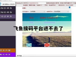 飞鱼接码平台进不去了