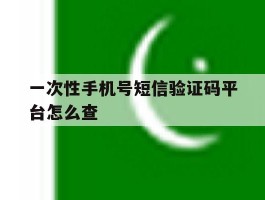 一次性手机号短信验证码平台怎么查