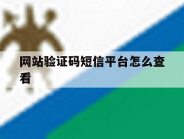 网站验证码短信平台怎么查看