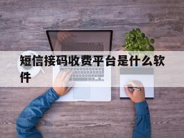 短信接码收费平台是什么软件