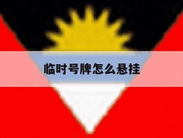 临时号牌怎么悬挂