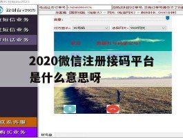 2020微信注册接码平台是什么意思呀
