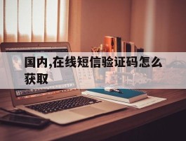 国内,在线短信验证码怎么获取