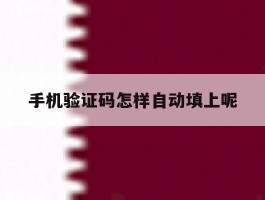 手机验证码怎样自动填上呢