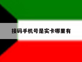 接码手机号是实卡哪里有