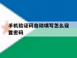 手机验证码自动填写怎么设置密码