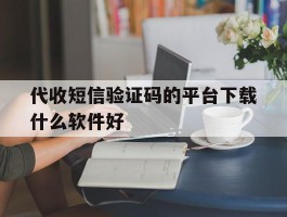 代收短信验证码的平台下载什么软件好