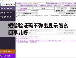 短信验证码不弹出显示怎么回事儿呀