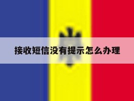 接收短信没有提示怎么办理