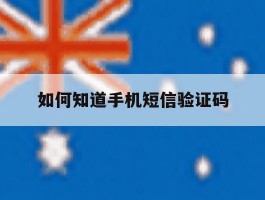 如何知道手机短信验证码