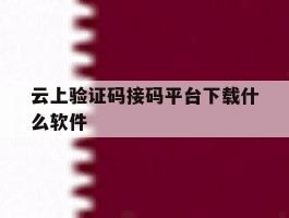 云上验证码接码平台下载什么软件