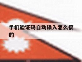 手机验证码自动输入怎么搞的