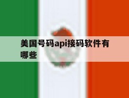 美国号码api接码软件有哪些
