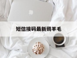 短信接码最新薅羊毛