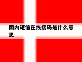 国内短信在线接码是什么意思