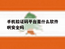 手机验证码平台是什么软件啊安全吗