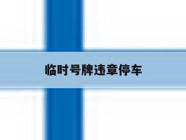 临时号牌违章停车