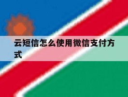云短信怎么使用微信支付方式