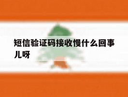 短信验证码接收慢什么回事儿呀