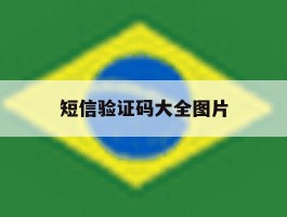 短信验证码大全图片