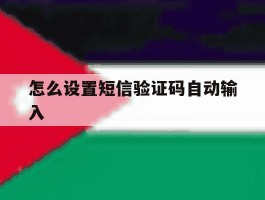 怎么设置短信验证码自动输入