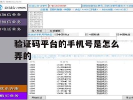 验证码平台的手机号是怎么弄的