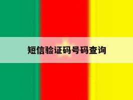 短信验证码号码查询