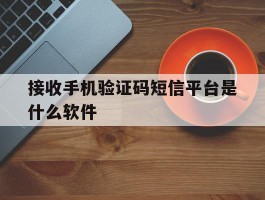 接收手机验证码短信平台是什么软件