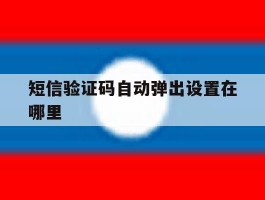 短信验证码自动弹出设置在哪里