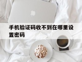 手机验证码收不到在哪里设置密码