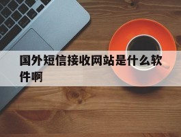 国外短信接收网站是什么软件啊