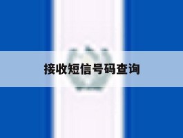 接收短信号码查询
