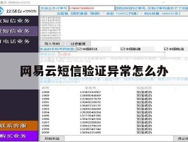 网易云短信验证异常怎么办