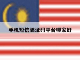 手机短信验证码平台哪家好