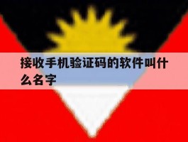 接收手机验证码的软件叫什么名字