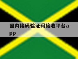 国内接码验证码接收平台app