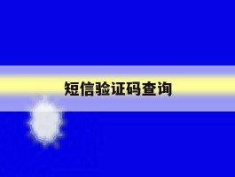 短信验证码查询