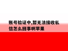 账号验证中,暂无法接收私信怎么回事啊苹果