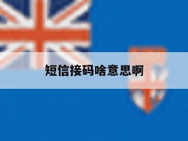 短信接码啥意思啊