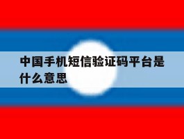 中国手机短信验证码平台是什么意思