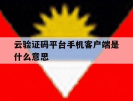 云验证码平台手机客户端是什么意思