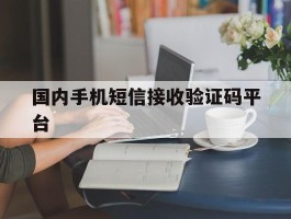 国内手机短信接收验证码平台