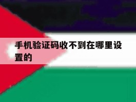手机验证码收不到在哪里设置的