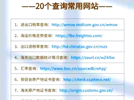 免费短信接码网站是什么软件